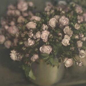 A vase filled with pink flowers on top of a table.