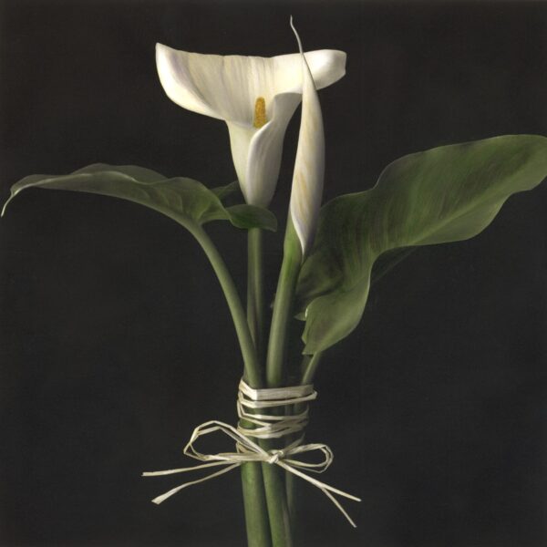 A white flower with green leaves in it.