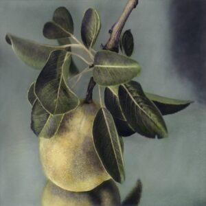 A painting of an apple on the tree