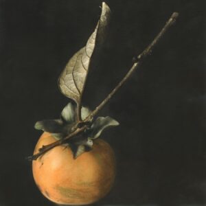 A painting of an orange with two branches on it.