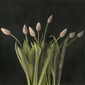 A bunch of flowers that are in the dark.