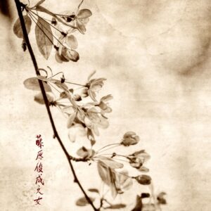 A branch with leaves and flowers on it.