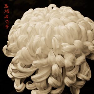 A close up of the flower with black background