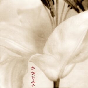 A close up of the flower with chinese writing on it.