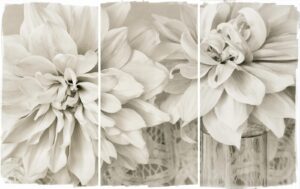 A black and white photo of flowers in a room.