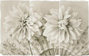 A black and white photo of flowers with a fan
