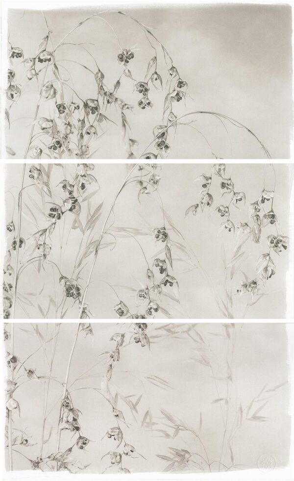A series of three paintings with flowers on them.