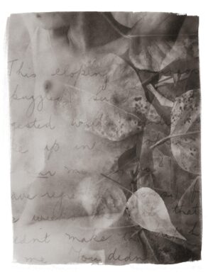A close up of leaves on paper