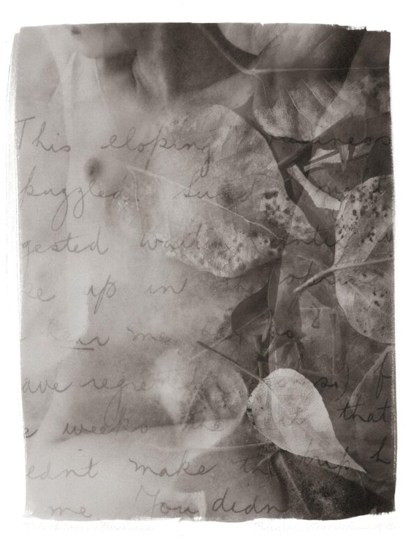 A close up of leaves on paper