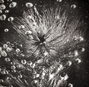 A black and white photo of water droplets on the glass.
