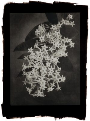 A black and white photo of some stars