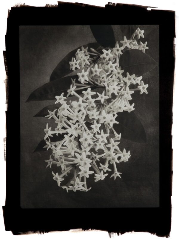 A black and white photo of some stars