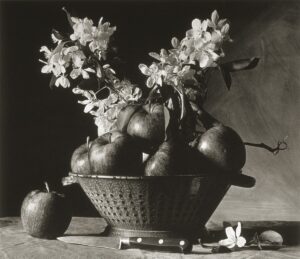A black and white photo of fruit in a basket.