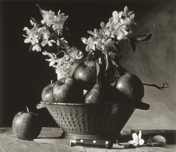 A black and white photo of fruit in a basket.