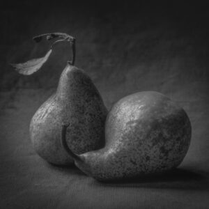 Two pears are sitting on a table in black and white.