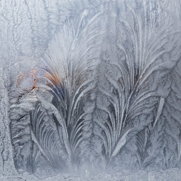 A window with ice patterns on it
