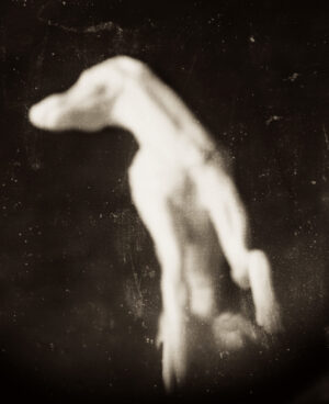 A blurry image of a dog standing on its hind legs.