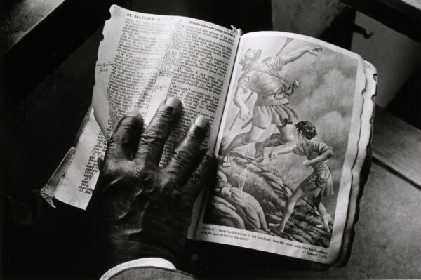 A gorilla hand is holding an open book.