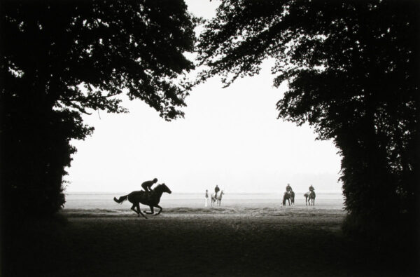 A person riding on the back of a horse.