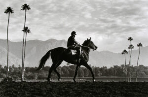 A man riding on the back of a horse.