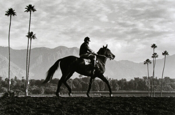 A man riding on the back of a horse.
