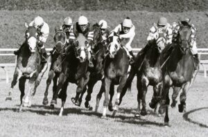 A group of people riding horses on top of grass.