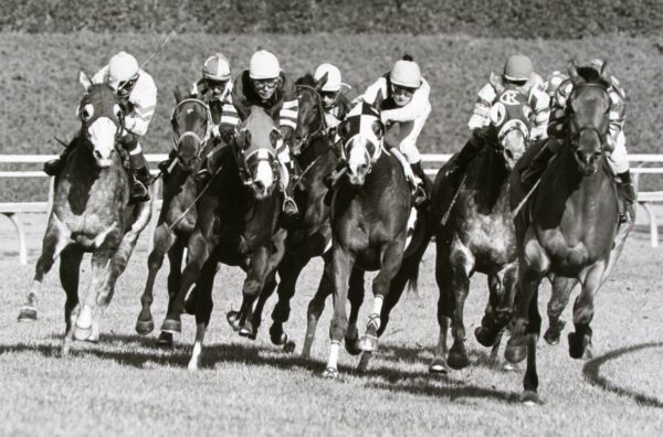 A group of people riding horses on top of grass.