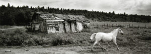 A horse is walking in the grass near an old house.
