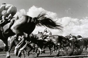 A group of horses running in the dirt.