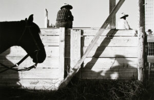 A horse is jumping over the fence of its enclosure.