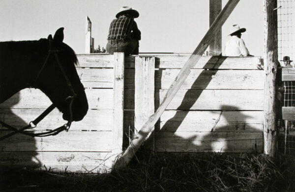A horse is jumping over the fence of its enclosure.