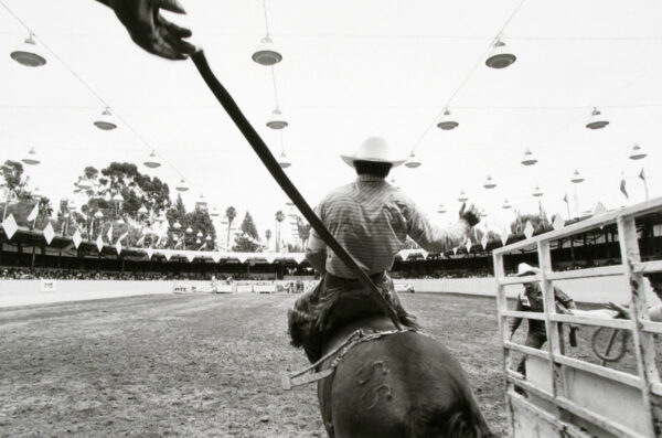 A man riding on the back of a horse.