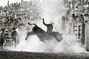 A man riding on the back of a bull in front of a crowd.