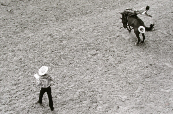 A man in cowboy hat and white shirt riding on the back of a horse.