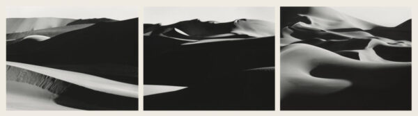 A black and white photo of some sand dunes