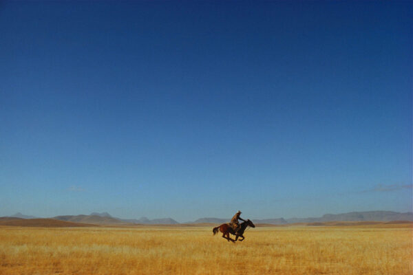 A person riding on the back of a horse in an open field.