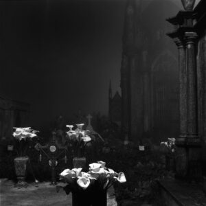 A black and white photo of flowers in a vase