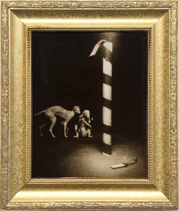 A painting of two dogs and a cat in a gold frame.