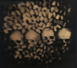 A group of skulls sitting in front of each other.