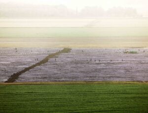A field with grass and water in the distance.