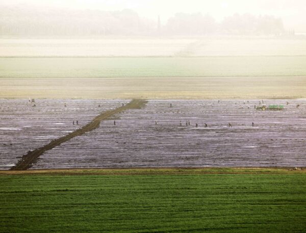 A field with grass and water in the distance.