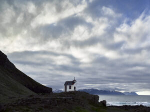 A donkey standing on top of a hill.