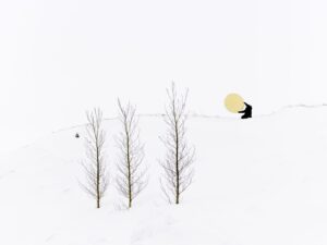 A group of trees in the snow with one person standing on it.