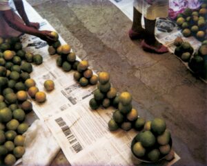 A group of people standing around boxes filled with fruit.