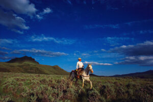 A man riding on the back of a horse in a field.