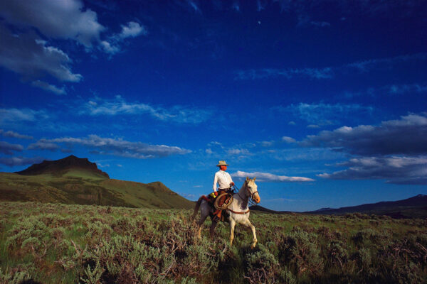 A man riding on the back of a horse in a field.
