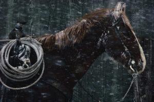 A horse with harness and rope in the rain.