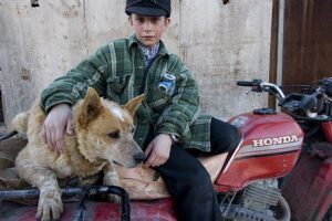 A boy sitting on the back of a red motorcycle with his dog.