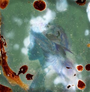 A person is seen in the water with blood spots.