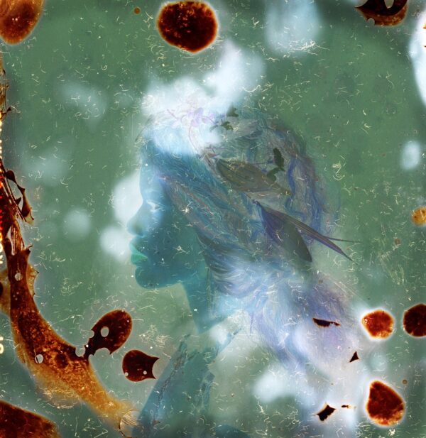 A person is seen in the water with blood spots.